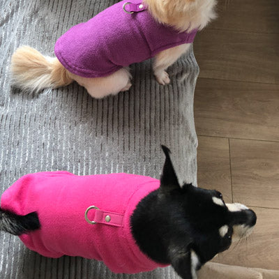 Chihuahua or Small Dog Fleece Jumper with D Rings For Leash Pink - My Chi and Me