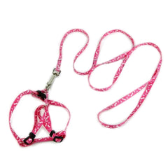 Chihuahua Puppy or Small Chihuahua Harness and Lead Set Paws & Bones Pink Light Weight Webbing Chihuahua Clothes and Accessories at My Chi and Me