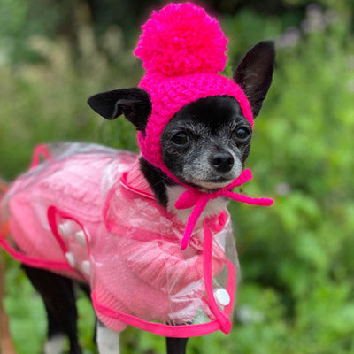 Small Dog Hand Knitted Chihuahua Hat with Pom Pom Girls 25 COLOURS Chihuahua Clothes and Accessories at My Chi and Me