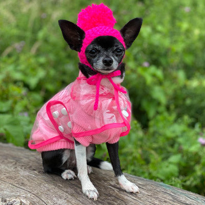 Pink Edged Waterproof Raincoat for Chihuahuas and Small Dogs - 3 SIZES Chihuahua Clothes and Accessories at My Chi and Me