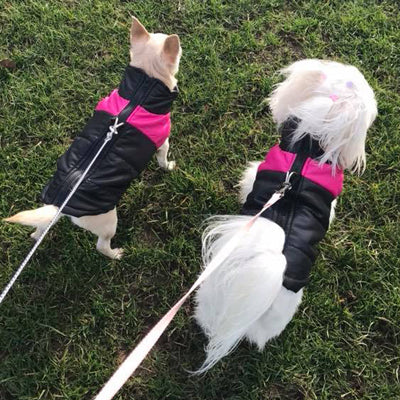 Gilet Style Small Dog Coat Black And Pink - My Chi and Me