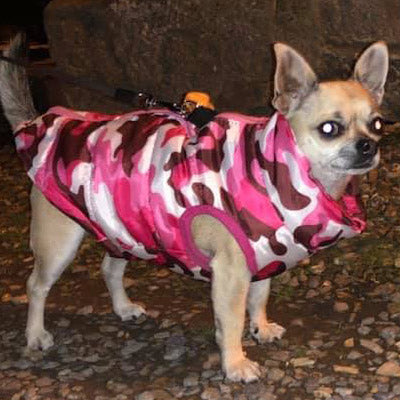 Chihuahua or Small Dog Coat Pink Camouflage Gilet - My Chi and Me