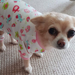 Chihuahua Small Dog Pyjamas Onesie Style Owls Horses Elephants Print Cotton Pink - My Chi and Me