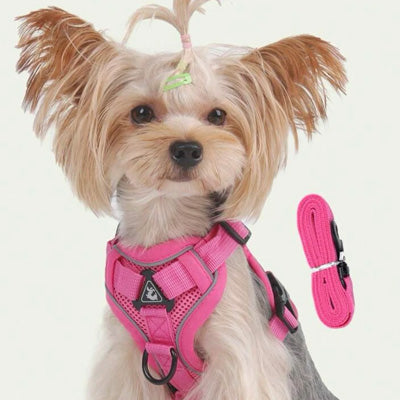 Tough 4 Point Adjustable Slipover Treks & Trails Action Harness Lead Set Hot Pink