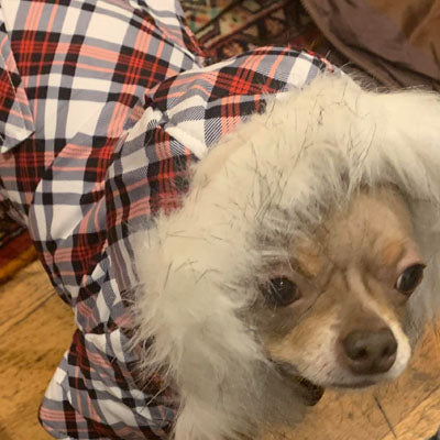 Urban Pup Red Plaid Small Dog Plaid Coat