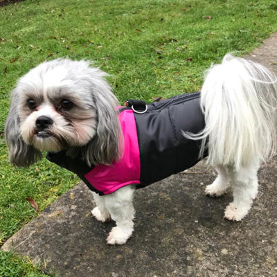 Gilet Style Small Dog Coat Black And Pink - My Chi and Me
