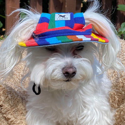 Rainbow Pride NHS Sun Hat for Chihuahua Small Dog or Puppy