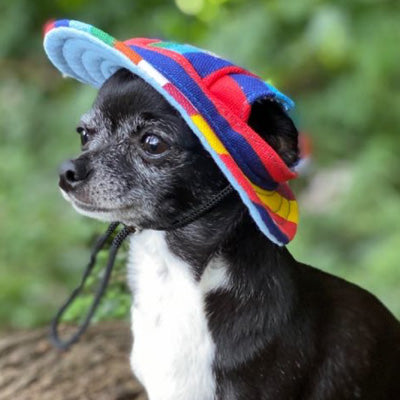 Rainbow Pride NHS Sun Hat for Chihuahua Small Dog or Puppy
