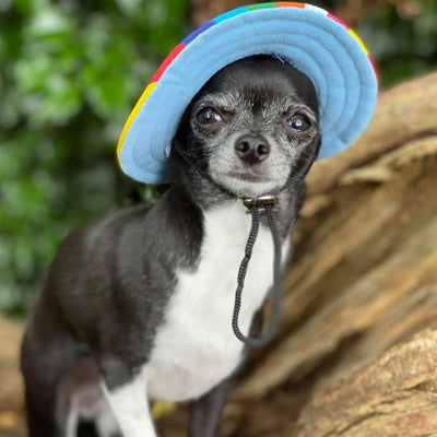 Rainbow Pride NHS Sun Hat for Chihuahua Small Dog or Puppy