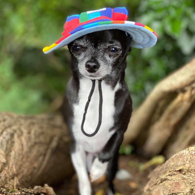 Rainbow Pride NHS Sun Hat for Chihuahua Small Dog or Puppy