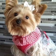 Puppia Vivian Chihuahua Small Dog Harness A Red 3 Sizes