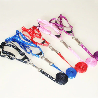 Chihuahua Puppy or Small Chihuahua Harness and Lead Set Paws & Bones Black Light Weight Webbing Chihuahua Clothes and Accessories at My Chi and Me