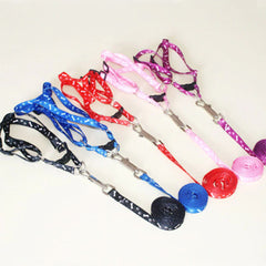 Chihuahua Puppy or Small Chihuahua Harness and Lead Set Paws & Bones Black Light Weight Webbing Chihuahua Clothes and Accessories at My Chi and Me
