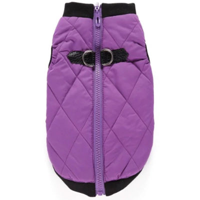 Water Resistant Padded Quilted Purple Dog Gilet Chihuahua Clothes and Accessories at My Chi and Me