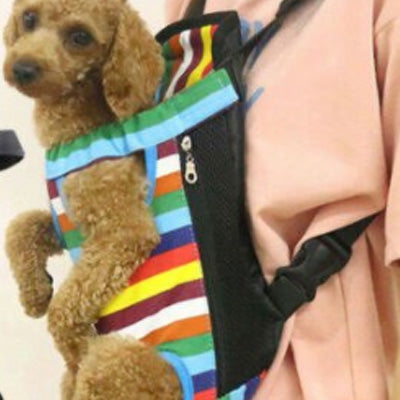 Front Facing Small Dog Puppy Carrier Legs Out Rainbow