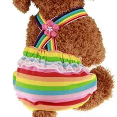 Chihuahua Season Pants Sanitary Dungarees Menstruation Knickers Rainbow