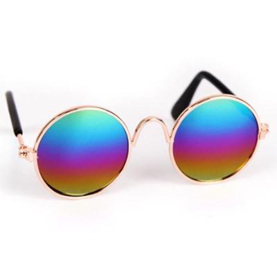 Medium Sunglasses for Larger Chihuahuas and Small Dogs Chihuahua Clothes and Accessories at My Chi and Me