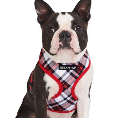 Red & White Plaid Harness by Urban Pup Chihuahua Clothes and Accessories at My Chi and Me