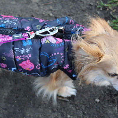 Padded Small Dog Chihuahua Gilet Coat Stars & Hearts - My Chi and Me