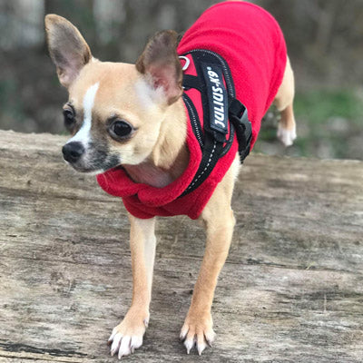Chihuahua or Small Dog Fleece Jumper with D Rings For Leash Red - My Chi and Me