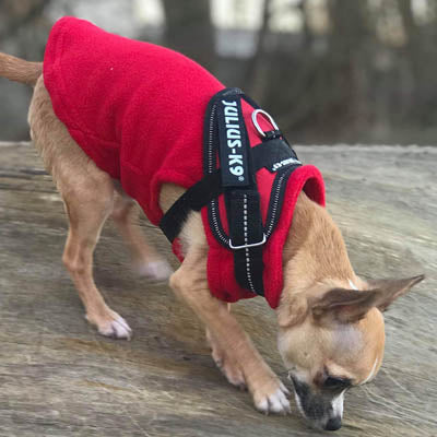 Chihuahua or Small Dog Fleece Jumper with D Rings For Leash Red - My Chi and Me