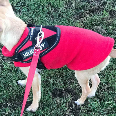 Chihuahua or Small Dog Fleece Jumper with D Rings For Leash Red - My Chi and Me
