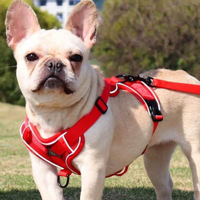 Tough 4 Point Adjustable Slipover Treks & Trails Action Harness Lead Set Red