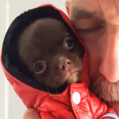 Lightweight Sporty Padded Chihuahua Puppy or Small Dog Hooded Coat Red - My Chi and Me