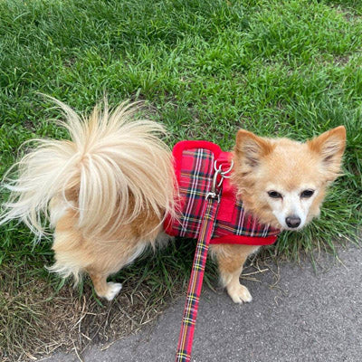 Urban Pup Faux Fur Lined Traditional Tartan Small Dog Vest Harness Red