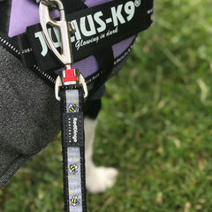 Julius K9 IDC Powerharness for Puppies and Chihuahuas Purple - My Chi and Me