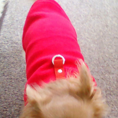 Chihuahua or Small Dog Fleece Jumper with D Rings For Leash Red - My Chi and Me