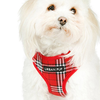 Red Checked Tartan Harness by Urban Pup - My Chi and Me