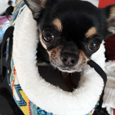 Pet Carrier Padded Faux Sheepskin Lined Travel Shoulder Bag Aztec Design Dog Bag - My Chi and Me