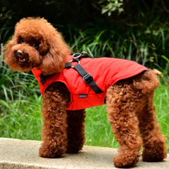 Trekker Water Resistant Padded Chihuahua Dog Coat with Inbuilt Harness Samurai Red Chihuahua Clothes and Accessories at My Chi and Me