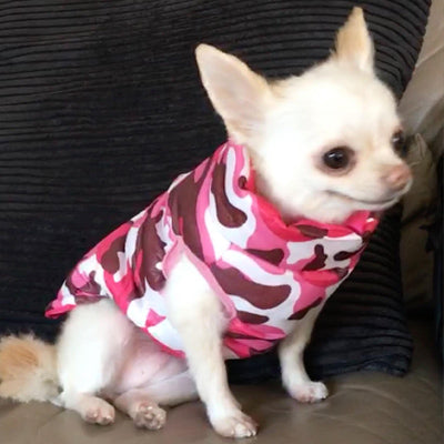 Chihuahua or Small Dog Coat Pink Camouflage Gilet - My Chi and Me