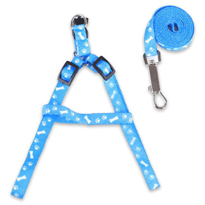 Chihuahua Puppy Harness Lead Set Paws & Bones Sky Blue Light Webbing