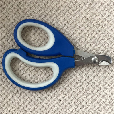 Small Scissor Style Nail Clippers Chihuahua Small Dogs Blue With Large Finger Holes - My Chi and Me