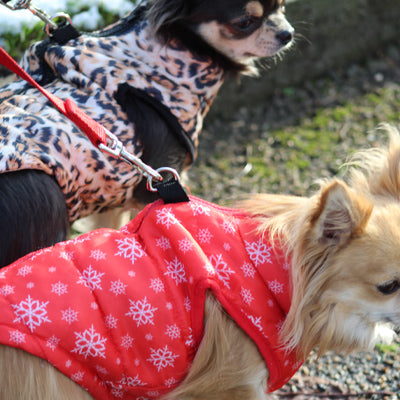 Premium Leopard Print Water Resistant Padded Gilet Style Coat Chihuahua or Small Dog - My Chi and Me