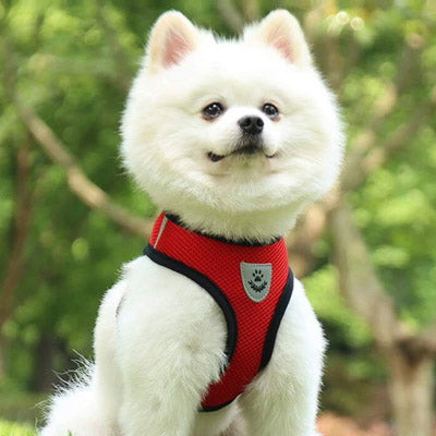 Soft Mesh Chihuahua or Small Dog Harness and Lead Set Red 3 Sizes