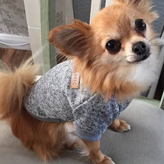 Chihuahua Puppy and Small Dog Knitted Cosy Fleece Lined Jumper 8 COLOURS Small Chihuahua Clothes and Accessories at My Chi and Me
