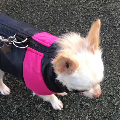 Gilet Style Small Dog Coat Black And Pink - My Chi and Me