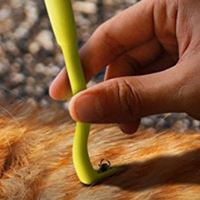 Tick Twister Pack of Two Yellow One Extra Small and One Small - My Chi and Me
