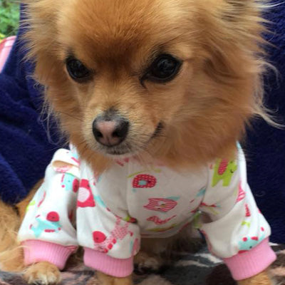 Chihuahua Small Dog Pyjamas Onesie Style Owls Horses Elephants Print Cotton Pink - My Chi and Me