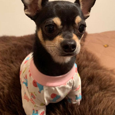 Chihuahua Small Dog Pyjamas Onesie Style Owls Horses Elephants Print Cotton Pink - My Chi and Me