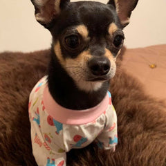 Chihuahua Small Dog Pyjamas Onesie Style Owls Horses Elephants Print Cotton Pink - My Chi and Me