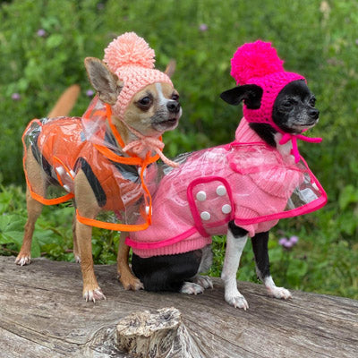 Pink Edged Waterproof Raincoat for Chihuahuas and Small Dogs - 3 SIZES Chihuahua Clothes and Accessories at My Chi and Me