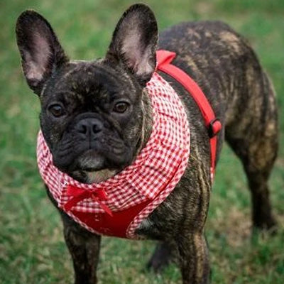 Puppia Vivian Chihuahua Small Dog Harness A Red 3 Sizes