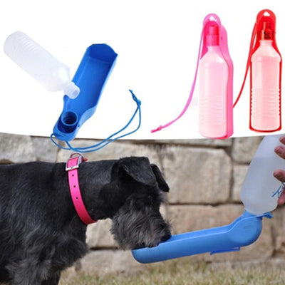 Small Dog Chihuahua Water Bottle Drinking Bowl