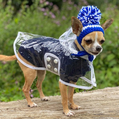 White Waterproof Raincoat for Chihuahuas and Small Dogs - 3 SIZES Chihuahua Clothes and Accessories at My Chi and Me