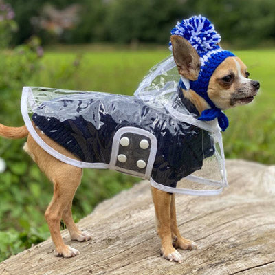 White Waterproof Raincoat for Chihuahuas and Small Dogs - 3 SIZES Chihuahua Clothes and Accessories at My Chi and Me